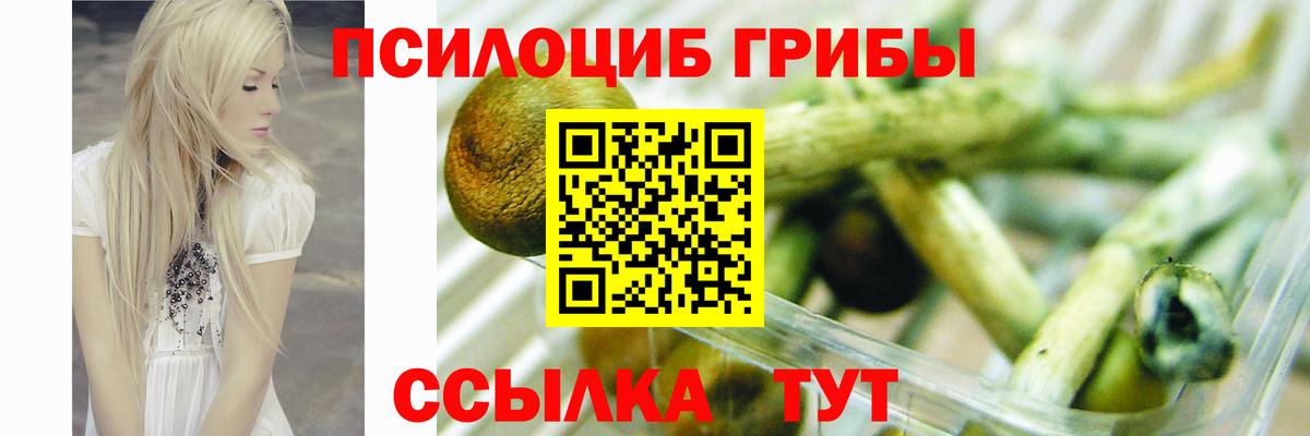 Кохма  Галлюциногенные грибы Psilocybine cubensis  Вход с VPN  Галлюциногенные грибы мухоморы 